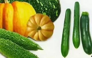 娱乐吃瓜种类,盘点热门事件，揭秘明星幕后故事